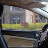 Car Windows Sunshade Magnetic Car Sun Shade UV Protection Automobile Curtain