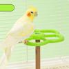 Washable Bird Spinning Toy 360° Rotation Parrot Perch with Anti-Slip Texture Hanging Parakeet Toys with 1.8'' Larger Washer