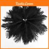 In Ostrich Feathers Multiple Colors Stage Simulation Performance Feathers Props