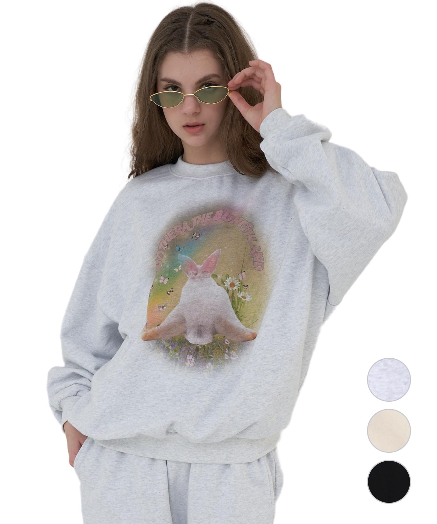 Еще одна толстовка A Bunnyland [Бежевый/Серый меланж/Черный] Beige/Small