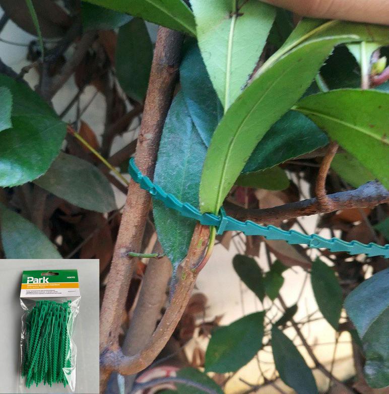 11.5CM Reusable Plant Tie - Plastic Fixing Buckle for Garden & Horticulture