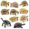 Sulcata Tortoise Mold Vivid Clear Texture 3D Effect Sea Ocean Life Simulation Animal Model for Kids