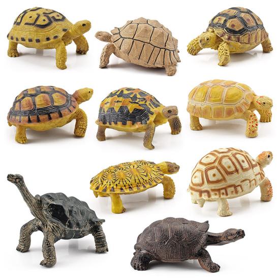 Sulcata Tortoise Mold Vivid Clear Texture 3D Effect Sea Ocean Life Simulation Animal Model for Kids