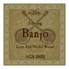 Cordas de banjo ARIA [1 conjunto] AGS-100BJ [10-23] 5 cordas