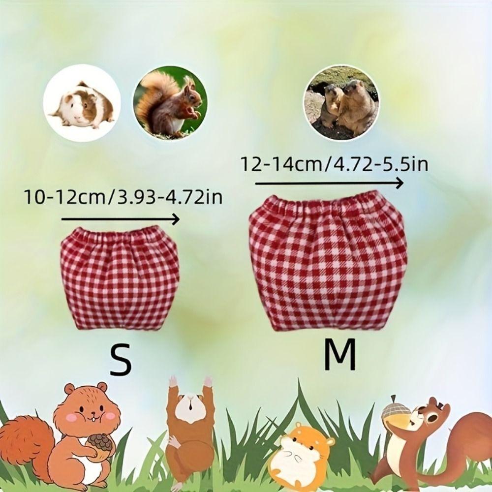 Absorbent Squirrel Diapers Flexible Closure Squirrel Underwear For Guinea Pigs, Squirrels