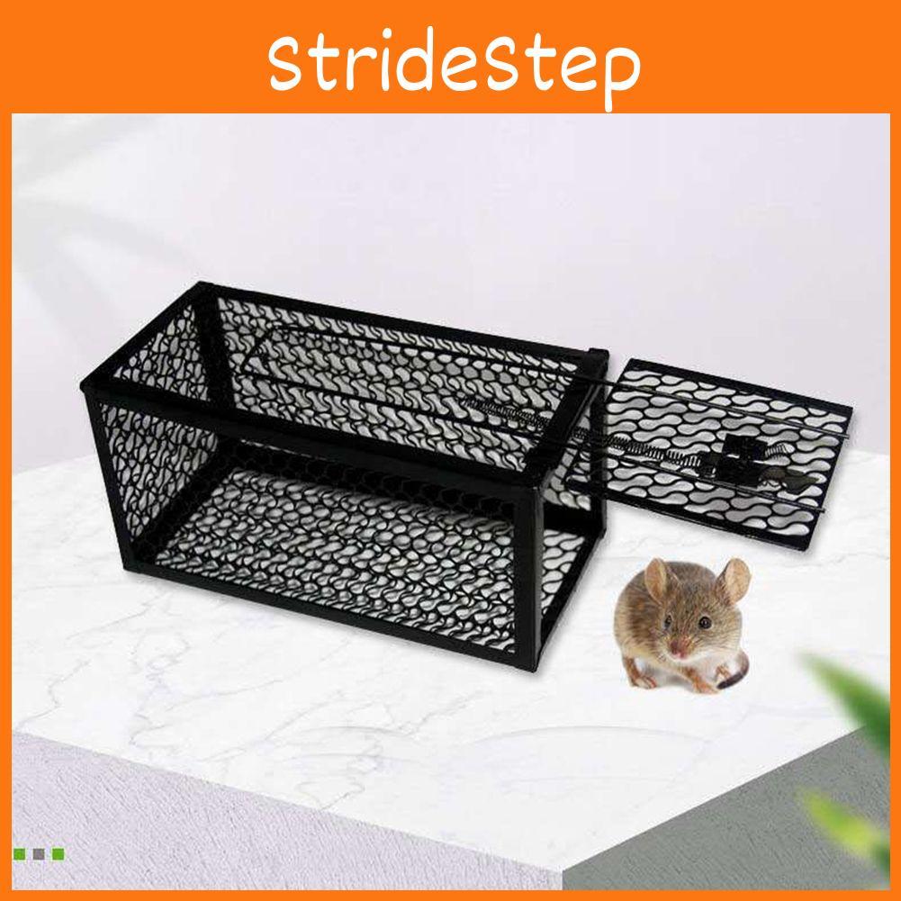 Hassle-free Iron Mouse Trap Control Catcher Easy To Set Up And Effective Pest Control
