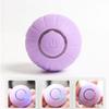 Pet Ball Toy Silicone Rolling Ball Sound Light Rechargeable Ball Obstacle Avoidance for Dog Cat