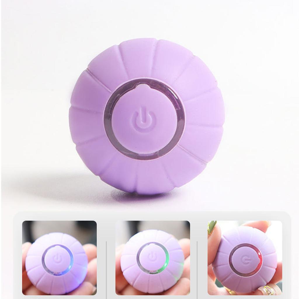 Pet Ball Toy Silicone Rolling Ball Sound Light Rechargeable Ball Obstacle Avoidance for Dog Cat