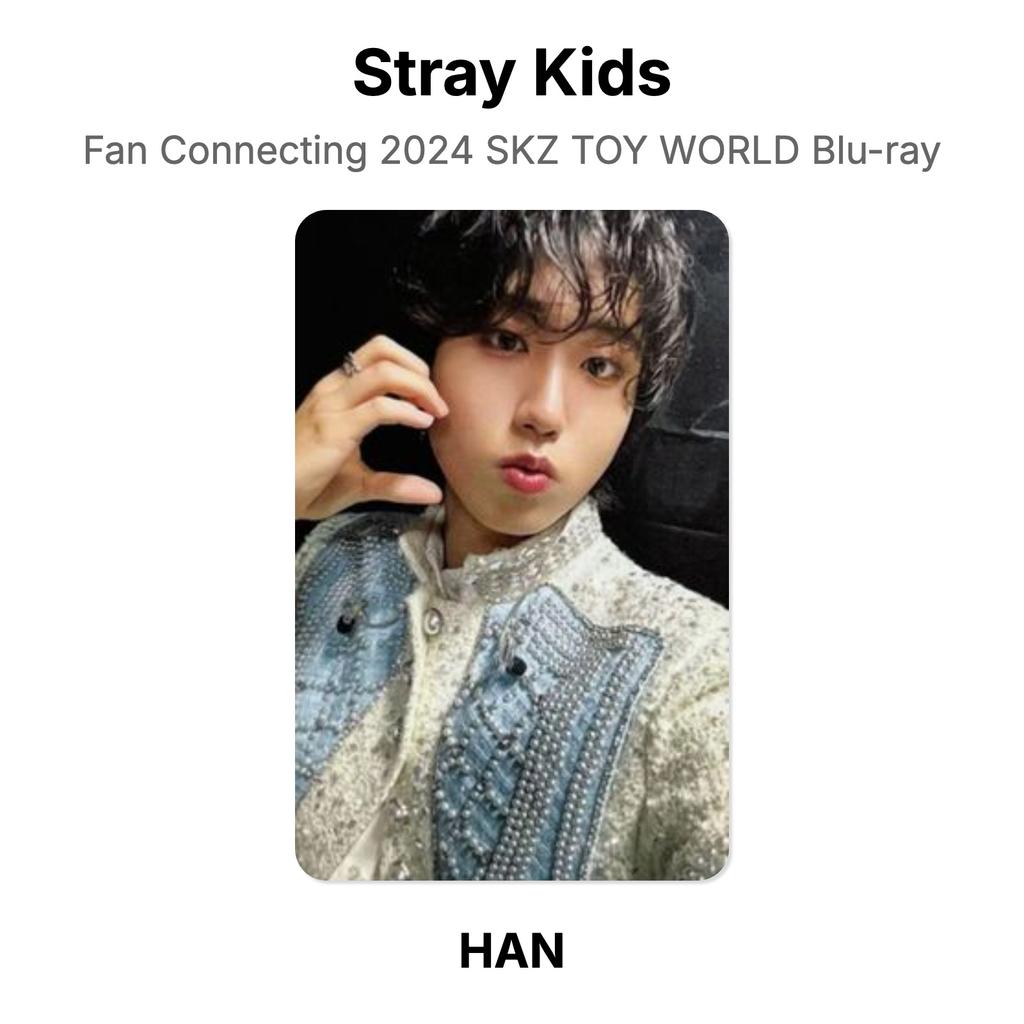Stray Kids Fan Connecting 2024 SKZ TOY WORLD Blu-ray Official Photocard