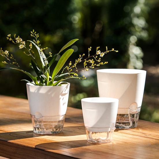 Flowerpot with Open Water Pour Port Easy Maintenance Self-Absorbing Double-Layer Water System Thickened Transparent Water Storage
