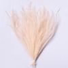 100Pcs Sewing Costuming Ostrich Feathers DIY Feathers Trim Loose Plumas Decorativas  for Halloween