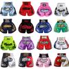 Breathable Muay Thai Shorts Cycling Jersey Training Fightwear