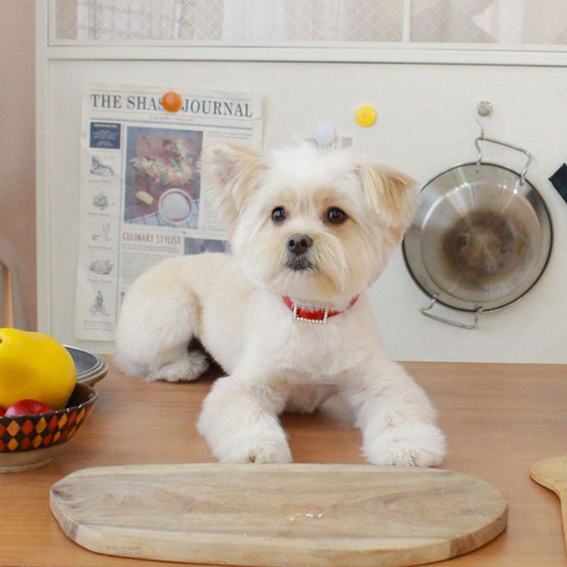 MA MAISON Collier Perle Carrée_Rouge