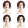 Synthetic Wig Women's Hair Piece Fluffy Corn Silk Hair Extensions Head Top Hair Patch with Toupee Wool Curl Wig Short Curly Hair