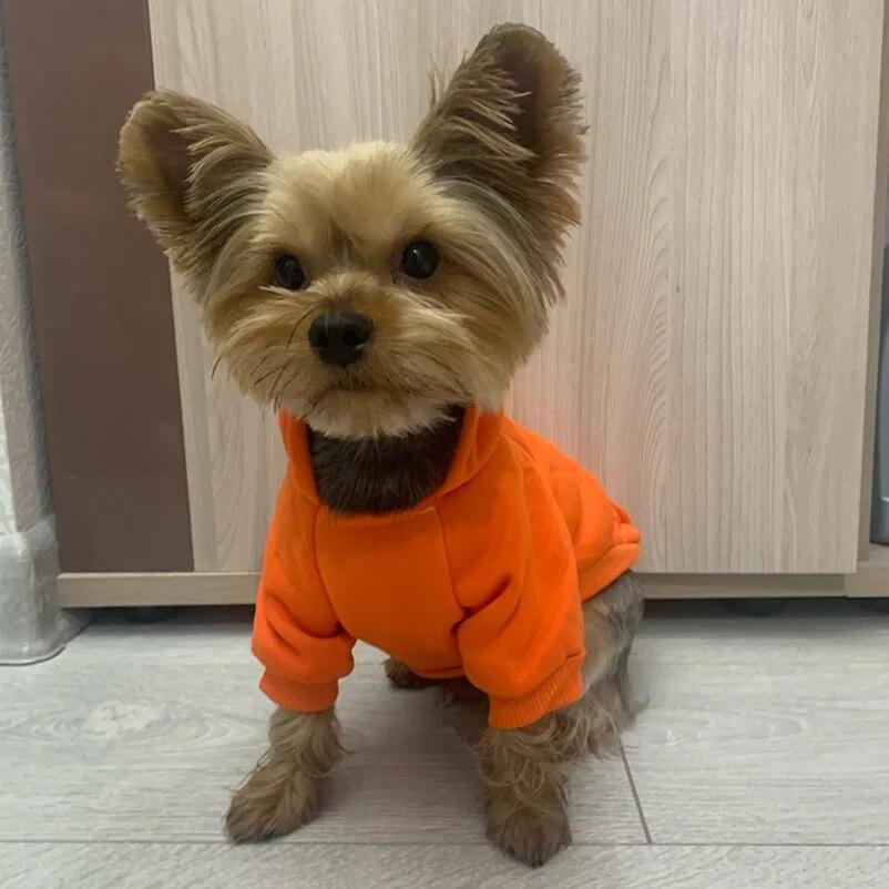 Haina pentru câini de talie mică Hanorac de iarnă pentru animale de companie, cățeluș, pisică, haină, jachetă, buldog francez, chihuahua, costum de Yorkie, ținute de pug, accesorii pentru animale de companie