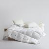 Muji Pro 2.0 Goose Velvet Quilt