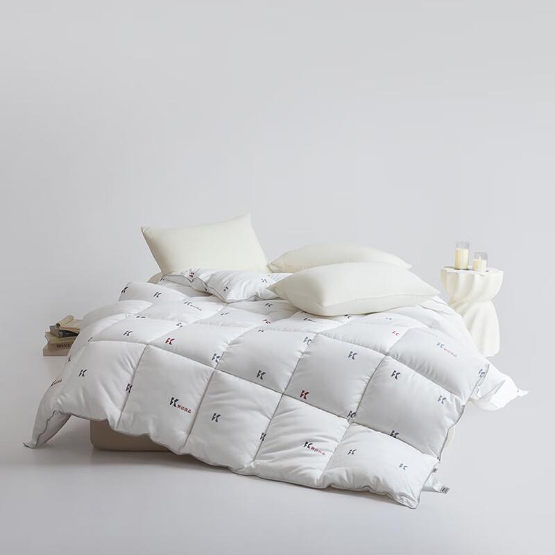 Muji Pro 2.0 Goose Velvet Quilt