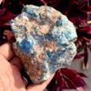 NATURAL Blue Apatite 490.95 Ct Uncut Raw Rough CERTIFIED Loose Gemstone For Gift