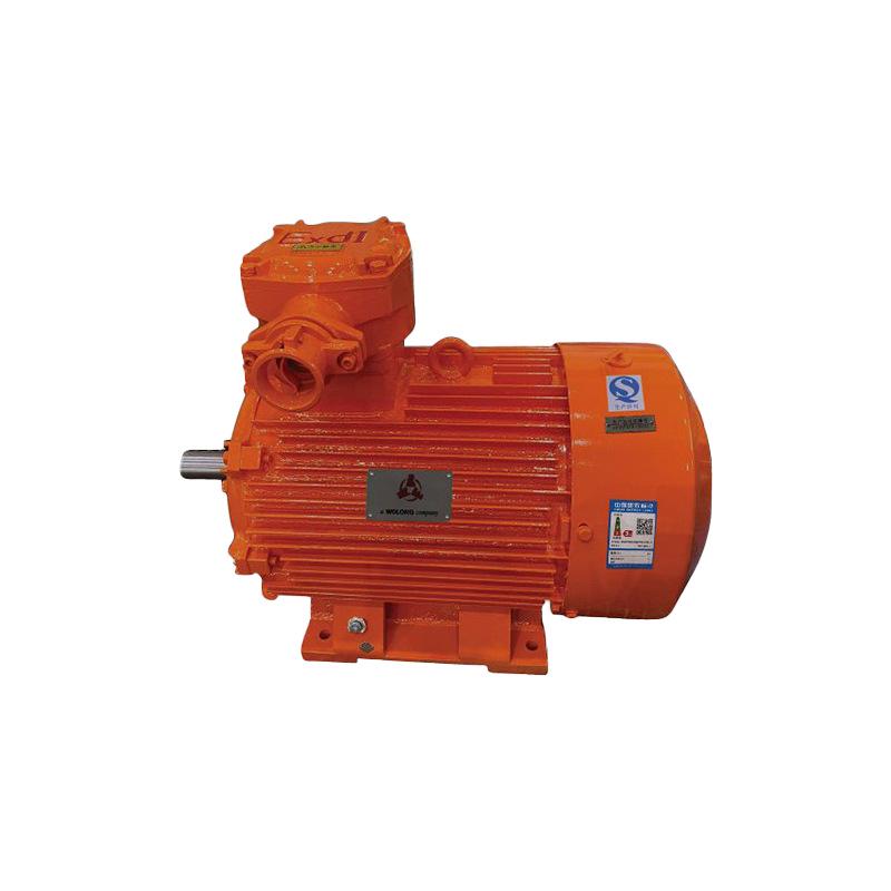 Wolong Nanyang Low-Voltage Explosion-Proof Three-Phase Motor for Underground Coal Mines