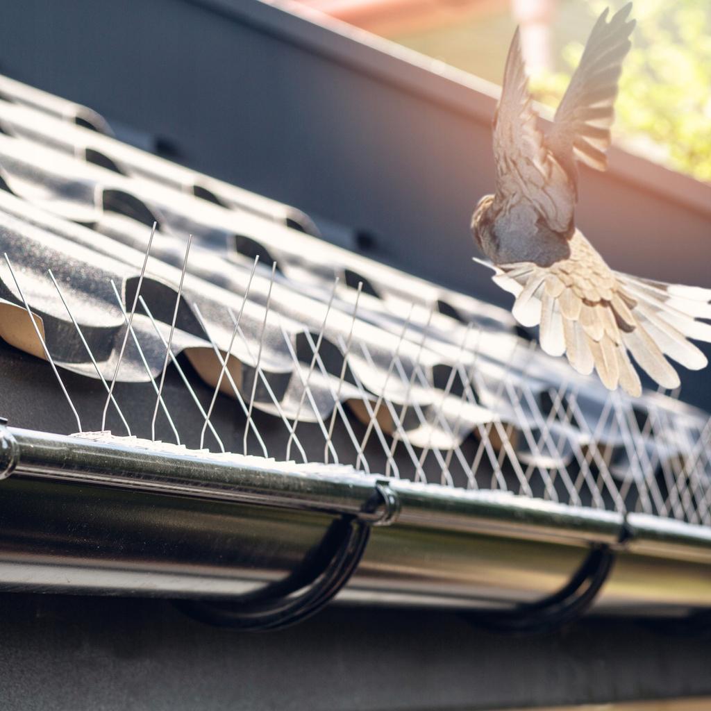 KADAX Bird Spikes Pigeons Stainless Steel 9pcs 3m