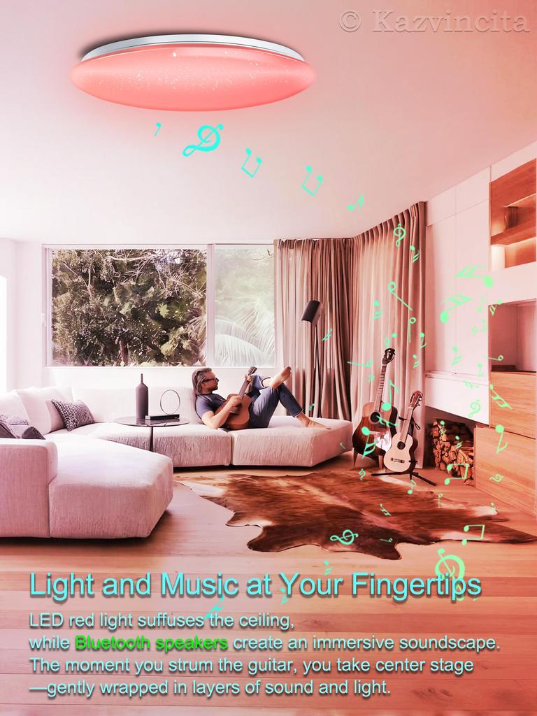 Chysongoods 50cm 55W LED Deckenleuchte Dimmbar & Farbtemperatur Einstellbar RGB Ambiente Integrierter Bluetooth-Lautsprecher Alexa Kompatibel für den Innenbereich