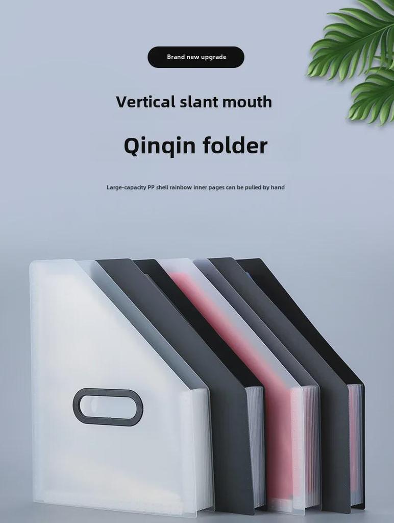 Vertical Accordion Bag with Rainbow Inner Pages - Large Capacity Portable Office Folder