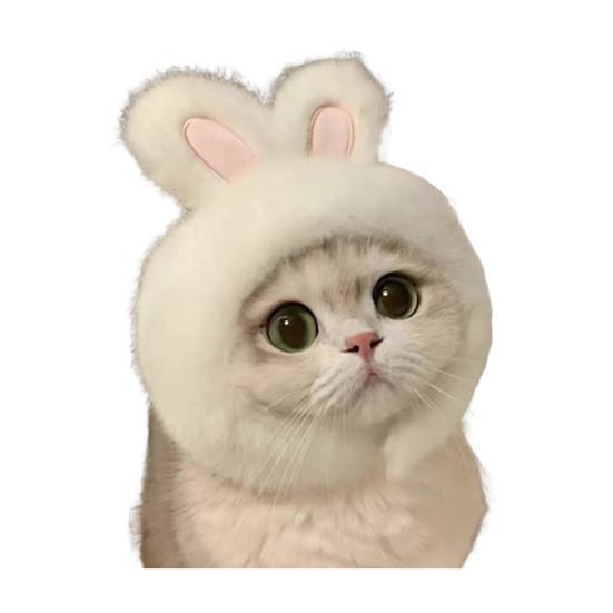 Cute Animal Cat Hat Cats Fuzzy Bunny Pig Panda Design Hat Fun White Goose Hat Adjustable Headwear for Kittens Festive Party Costume Accessory