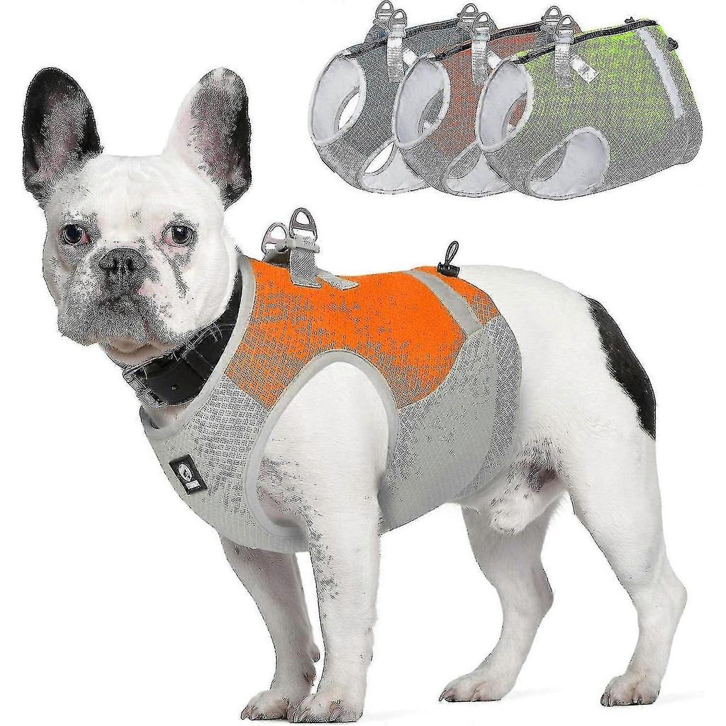 Dog Cooling Vest Harness,outdoor Puppy Cooler Jacket Reflective Breathable Dog Vest For Small Medium Large Dogs