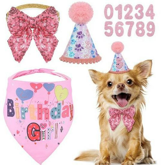 Pet Birthday Party Set: Paw Balloons, Dog Bibs & Hat