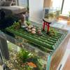 Artificial Bamboo Floating Bamboo Raft Ornament No Fading Bamboo Raft Figurine  Home Decoration