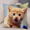 Cute Pet Animal Print Pillowcase Funny  Cat  Decoration Car Sofa Home Cushion Cover