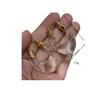 Light Luxury Transparent Metal Earrings Women'S Niche Design High-End Fashion Retro Tortoiseshell Earrings
