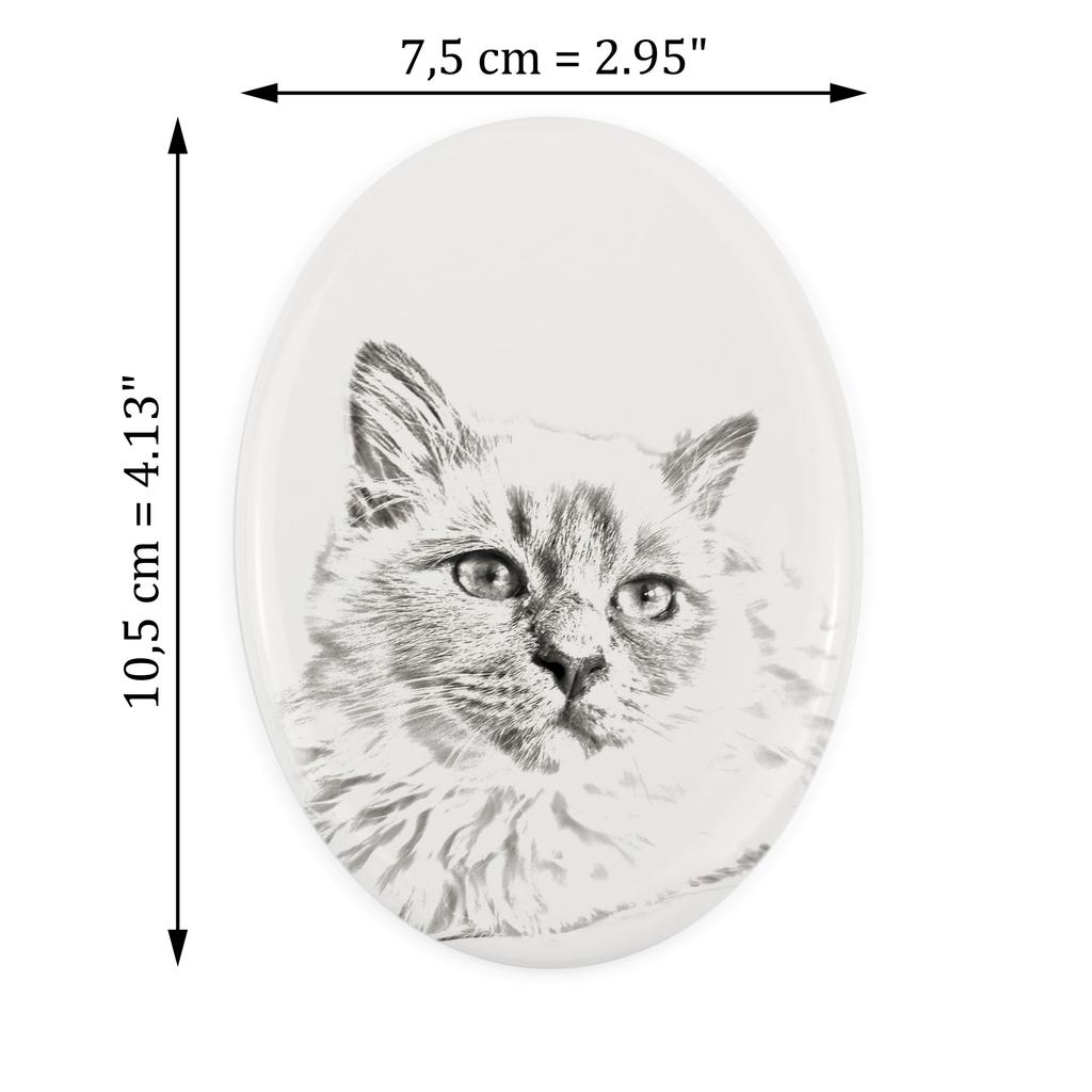 Birman - commemorative plaque with a cat photo, tombstone with a print, personalized oval plaque from the Art-Dog brand