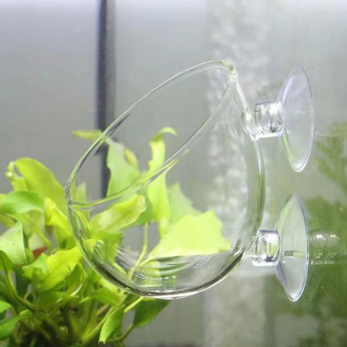Aquatic Plant Cultivation Cup: Mini Polka Dot Pot for Fish Tank and Aquarium Breeding with Suction Cup