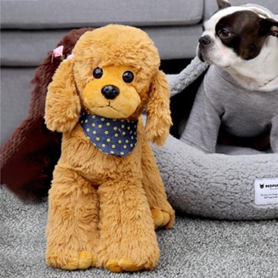 Red Puppy Dog Poodle 35 X 38 Cm, Dark Brown, 1 Piece