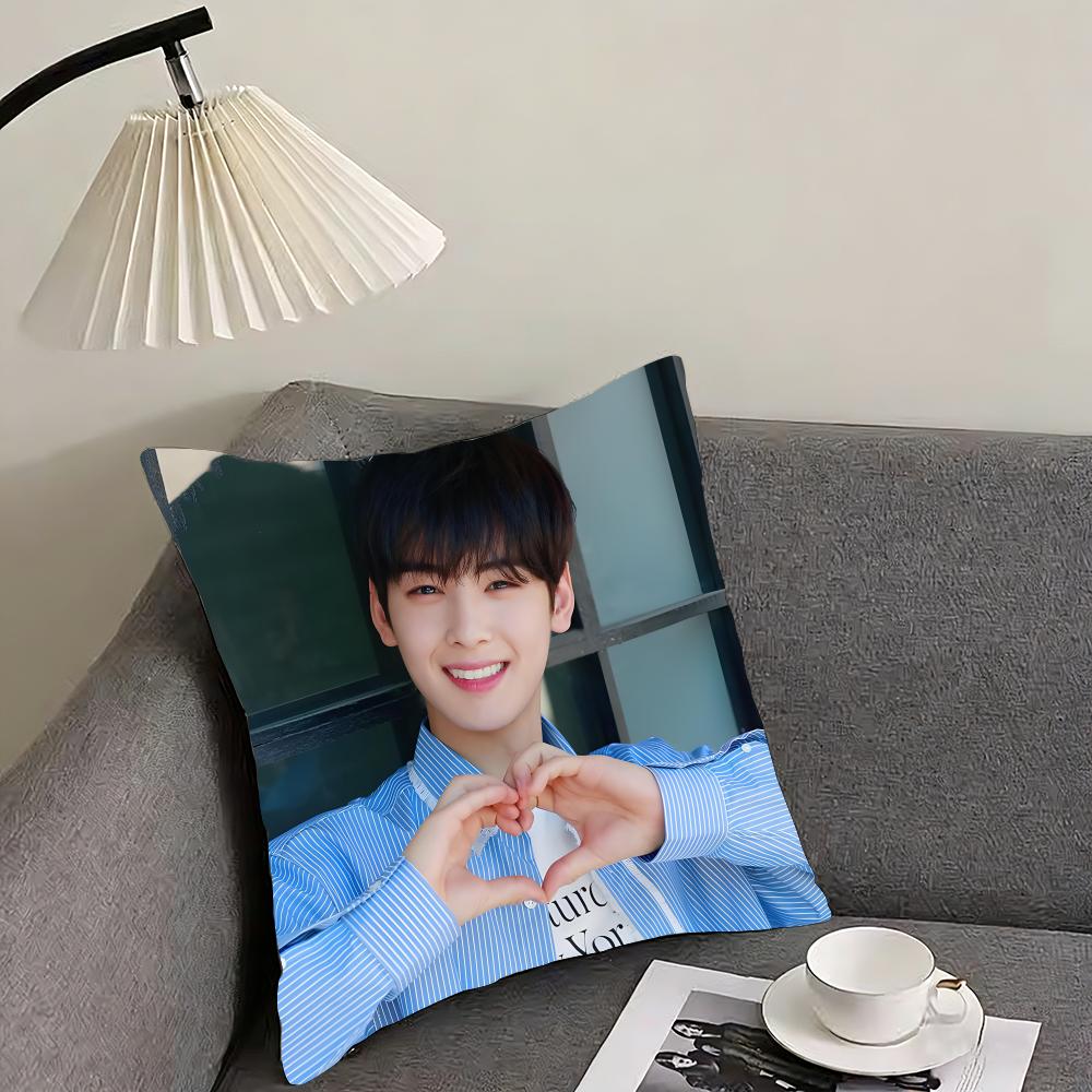 

CCha EunN WWoo Star Cushion Cover Pillowcase Ultra Soft Skin Friendly Fabric Cloud Like Comfort Concealed Zipper 30x30cm