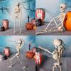 40cm Active Human Skeleton Model Medical Learning Anatomy Skeleton Modle Halloween Party Decoration