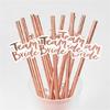 Set of 12 Team Bride Drinking Paper Straws Wedding Party Supplies Bridal Baby