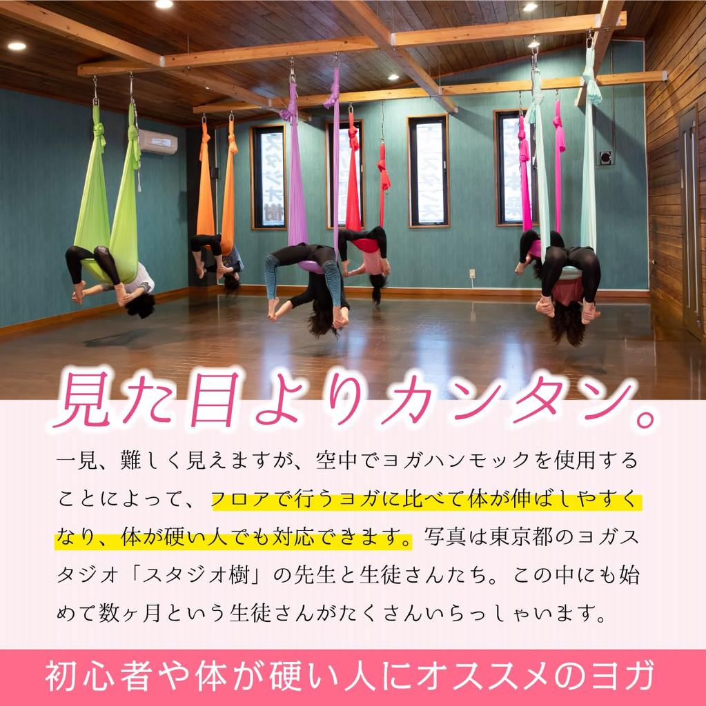 GiGant Aerial Yoga Dedicated 5m X Hammock Cloth Only Single Aerial Yoga Exercise Aero Yoga (Gigant) 2.8m Anti-Gravity (Berry Candy)