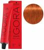 Schwarzkopf Igora Royal Hair Dye 60ml 7-77 Medium Copper Blonde Extra