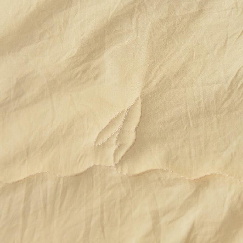 Jie Li Ya Super Soft Soybean Antibacterial Duvet