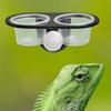 Gecko Futter Napf Gecko Futterbecher Spender mit 4 Bechern Leisten Zubehör Schale Effiziente Fütterung Eidechsen Chamäleons Einsiedlerkrebs