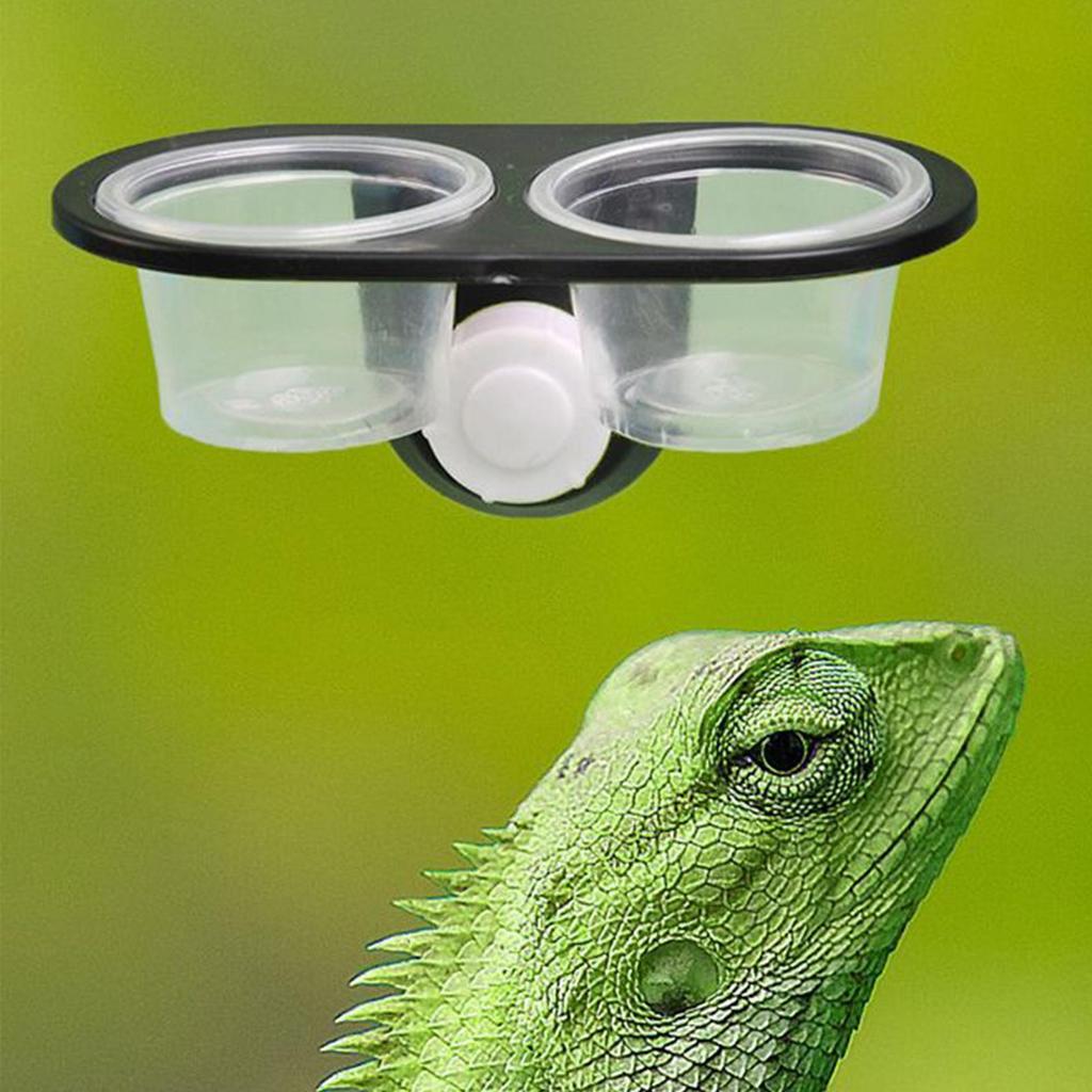 Gecko Futter Napf Gecko Futterbecher Spender mit 4 Bechern Leisten Zubehör Schale Effiziente Fütterung Eidechsen Chamäleons Einsiedlerkrebs