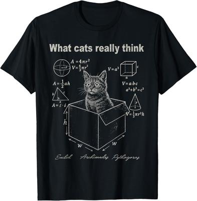 Cat In Box Math Humor T-Shirt Funny Logic Formulas Graphic Tee For Men Casual Trip
