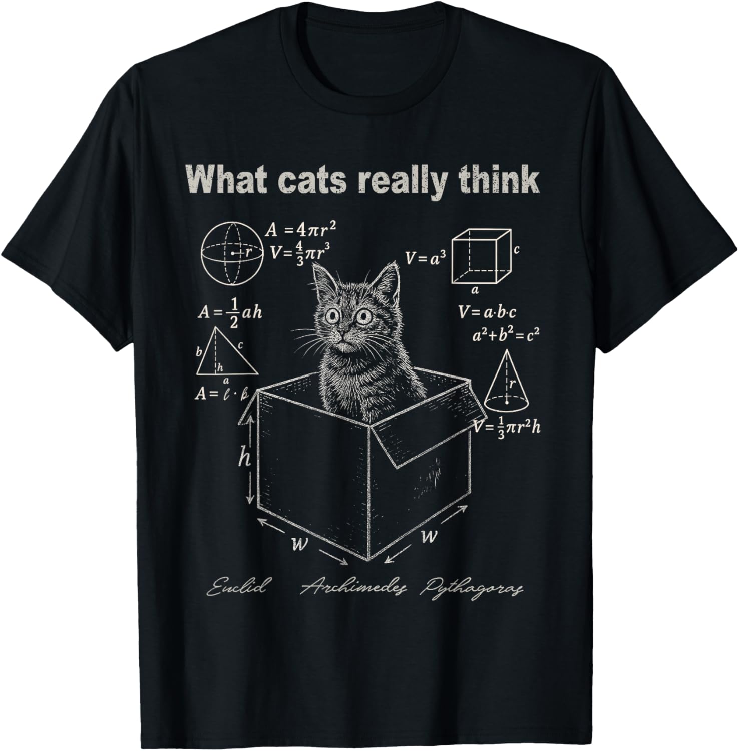 

Cat In Box Math Humor TShirt Funny Logic Formulas Graphic Tee For Women Casual Trip Women clothing Fashion Summer Streetwear S