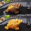 Golden Pixiu Color-Changing Toad Tea Pet Ornament for Gongfu Tea Set - Exquisite Collectible
