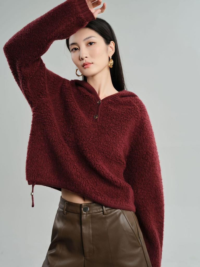Women's Thick Pure Wool Hooded Sweater - Long-Sleeve, Loose, Warm, and Versatile Pullover