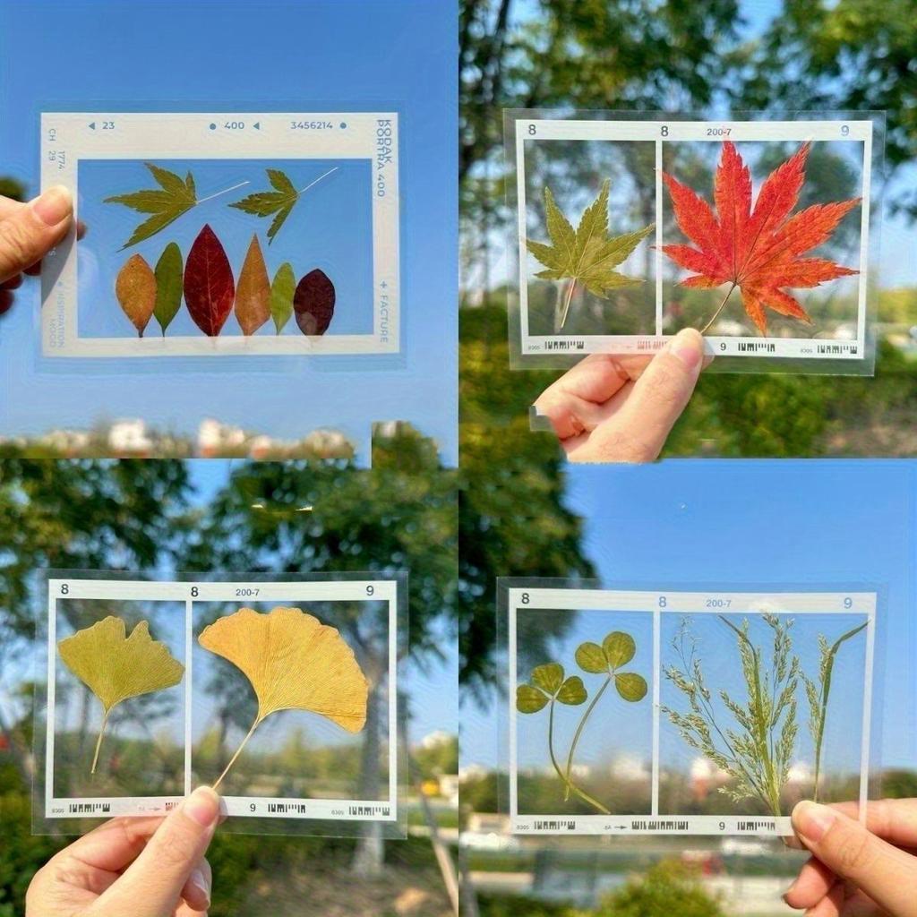 20pcs Vintage-Inspired DIY Transparent Bookmarks with Pressed Flower and Leaf Art - Handmade Frame, Perfect for Nature Themes
