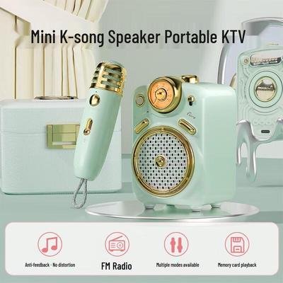 Divoom Fairy Tragbarer Bluetooth Karaoke-Lautsprecher mit Mikrofon CN-Stecker (Adapter enthalten)