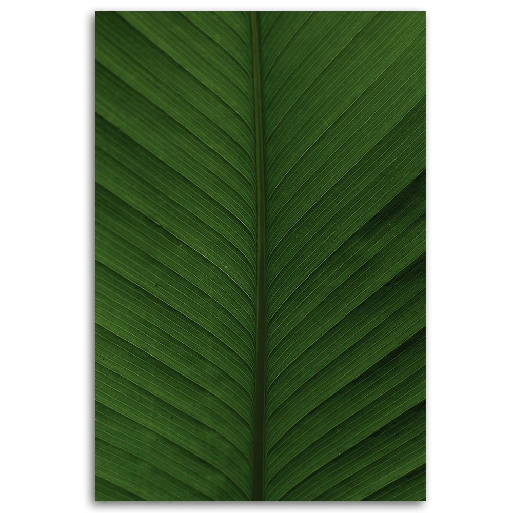 Canvas Print, Banana Leaf Macro